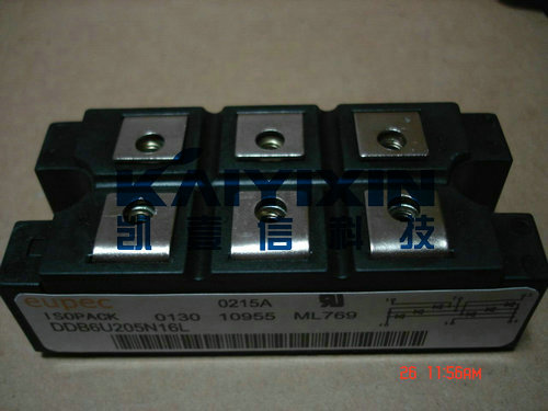 DDB6U205N16L (6)